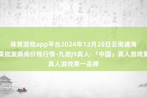 体育游戏app平台2024年12月28日云南通海金山蔬菜批发阛阓价钱行情-九游J9真人·「中国」真人游戏第一品牌