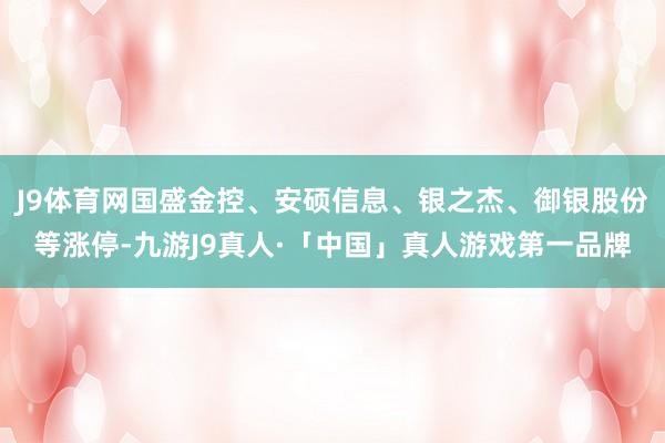J9体育网国盛金控、安硕信息、银之杰、御银股份等涨停-九游J9真人·「中国」真人游戏第一品牌