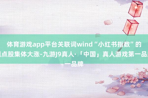 体育游戏app平台关联词wind“小红书指数”的观点股集体大涨-九游J9真人·「中国」真人游戏第一品牌