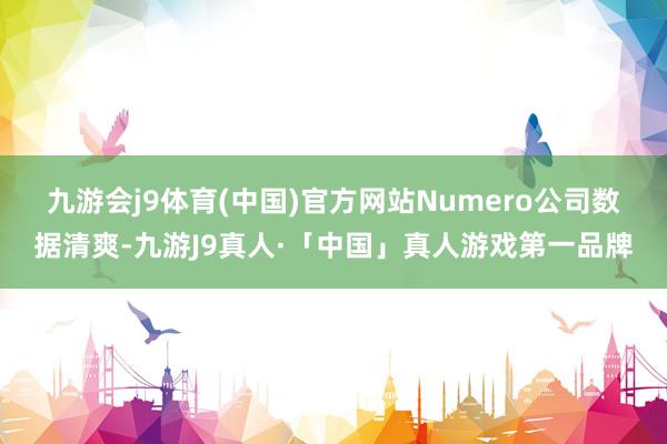 九游会j9体育(中国)官方网站　　Numero公司数据清爽-九游J9真人·「中国」真人游戏第一品牌