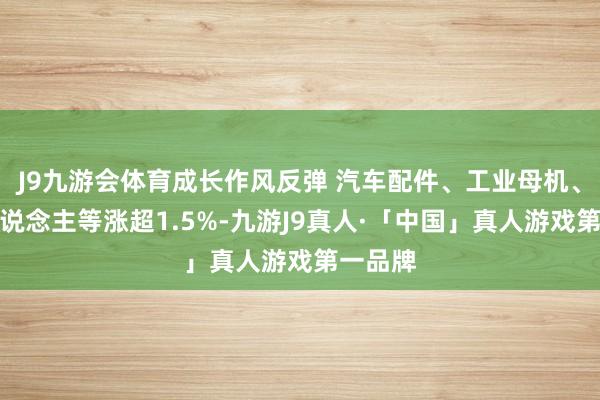 J9九游会体育成长作风反弹 汽车配件、工业母机、机器东说念主等涨超1.5%-九游J9真人·「中国」真人游戏第一品牌