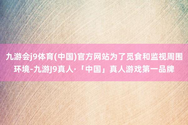 九游会j9体育(中国)官方网站为了觅食和监视周围环境-九游J9真人·「中国」真人游戏第一品牌