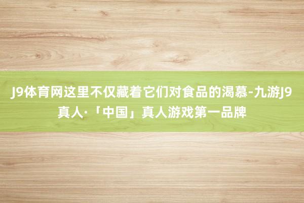J9体育网这里不仅藏着它们对食品的渴慕-九游J9真人·「中国」真人游戏第一品牌
